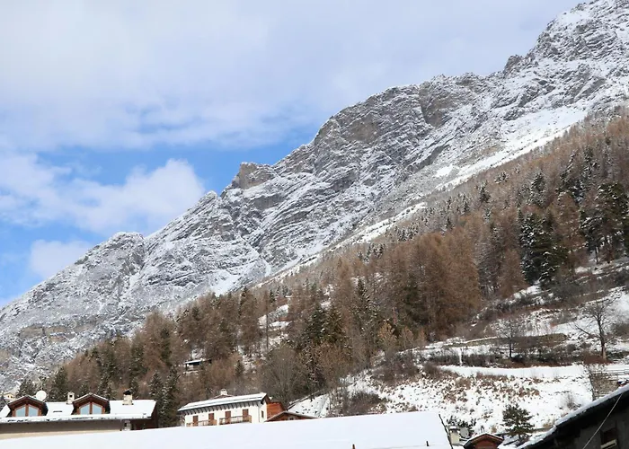 Ginny Апартаменты